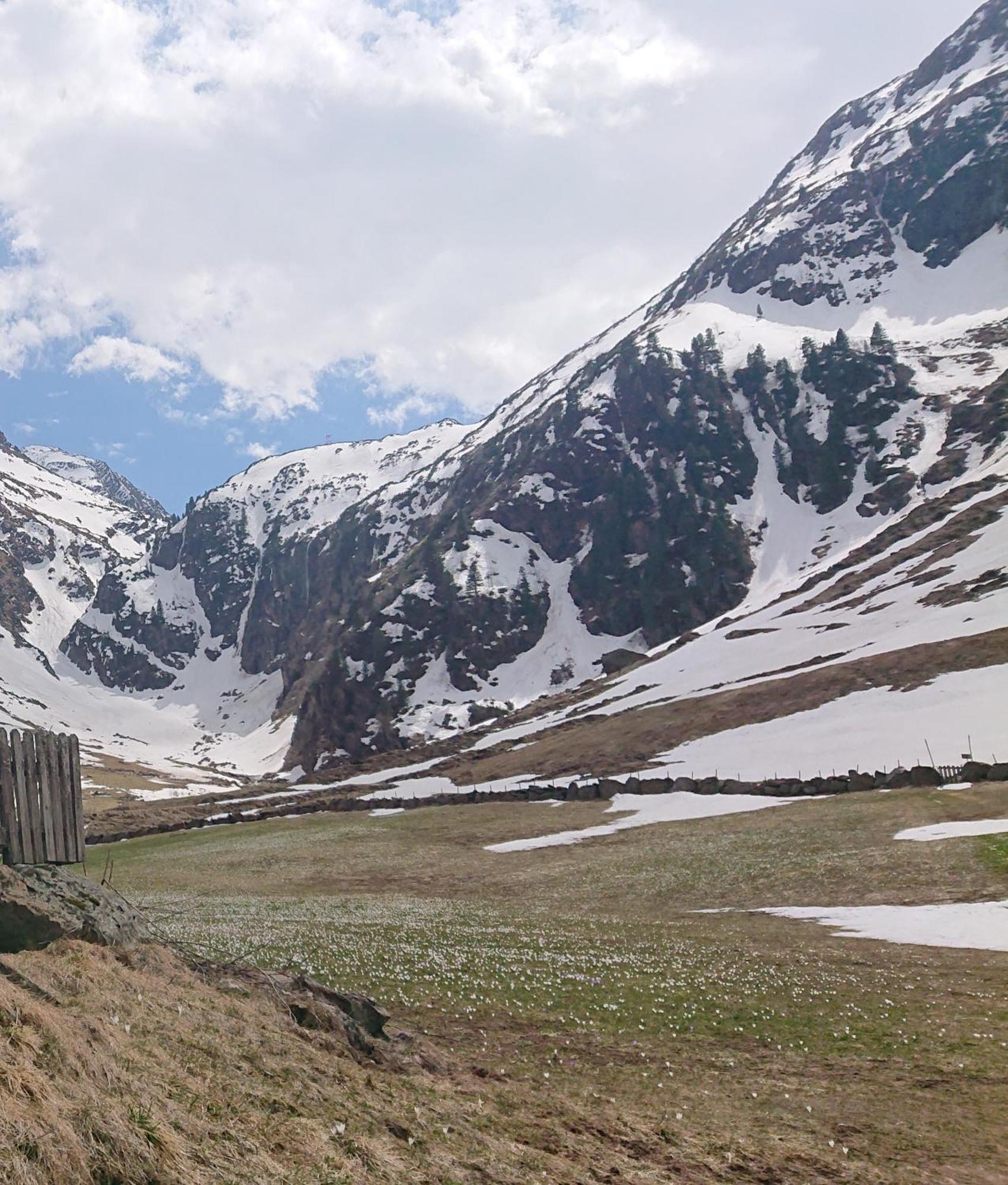 Landhaus Susanne Neustift im Stubaital Exterior photo
